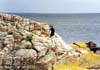 Bornholm_58