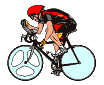 wycieczki rowerowe